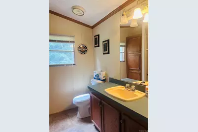 384 Lenape Lake Road, Livingston Manor, NY 12758 - Photo 9