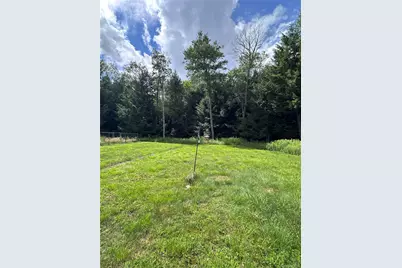 384 Lenape Lake Road, Livingston Manor, NY 12758 - Photo 19