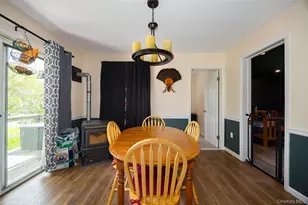 175 Nevis Rd, Tivoli, NY 12583 - Photo 5