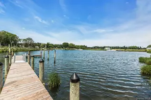 255 Peconic Bay Blvd, Aquebogue, NY 11901 - Photo 43