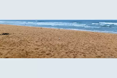 126 S Emerson Avenue #88, Montauk, NY 11954 - Photo 21