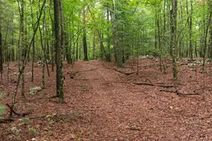 3789 State Route 52, Pine Bush, NY 12566 - Photo 13