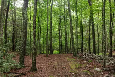 3789 State Route 52, Pine Bush, NY 12566 - Photo 1
