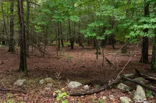 3789 State Route 52, Pine Bush, NY 12566 - Photo 9