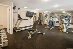 215 Kemeys Cove, Briarcliff Manor, NY 10510 - Photo 25