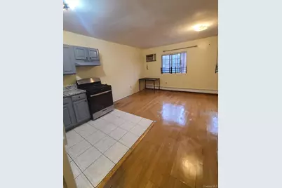 404 E 21st Street, Brooklyn, NY 11226 - Photo 9