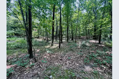 Tbd Schoolhouse Road, Staatsburg, NY 12580 - Photo 9