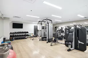1 Renaissance Square, White Plains, NY 10601 - Photo 47