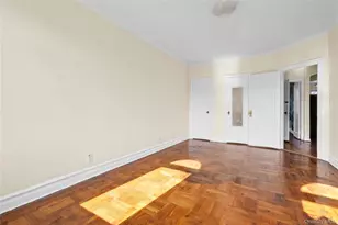 252 E 45th St, Brooklyn, NY 11203 - Photo 19