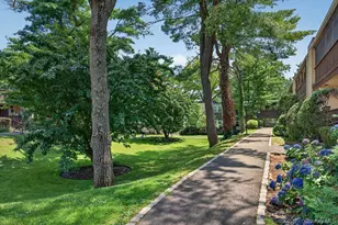 103 Wiltshire Rd, Scarsdale, NY 10583 - Photo 19
