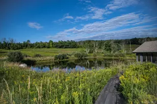 314 Schoolhouse Rd, Ghent, NY 12017 - Photo 25