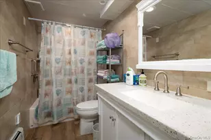 17 Joludow Dr, Massapequa Park, NY 11762 - Photo 15