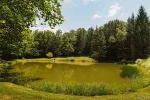 56 Winkelstern Ln, Kenoza Lake, NY 12750 - Photo 39
