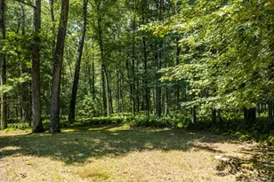 528 Van Tuyl Rd, Barryville, NY 12719 - Photo 29