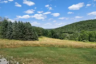 129 Nelson Rd, Hankins, NY 12741 - Photo 49