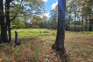 118 Hilltop Rd, Monticello, NY 12701 - Photo 13