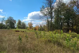 118 Hilltop Rd, Monticello, NY 12701 - Photo 19