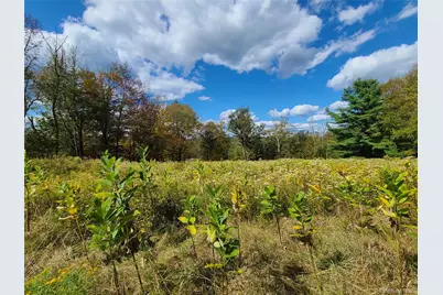 118 Hilltop Road, Monticello, NY 12701 - Photo 27