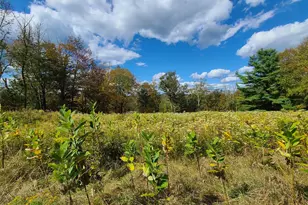118 Hilltop Rd, Monticello, NY 12701 - Photo 27