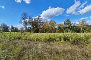 118 Hilltop Rd, Monticello, NY 12701 - Photo 21