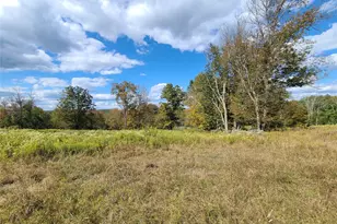 118 Hilltop Rd, Monticello, NY 12701 - Photo 29