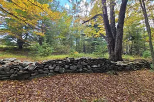118 Hilltop Rd, Monticello, NY 12701 - Photo 23