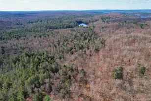 118 Hilltop Rd, Monticello, NY 12701 - Photo 43