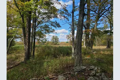 118 Hilltop Road, Monticello, NY 12701 - Photo 15