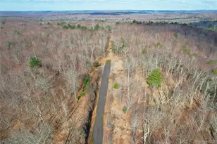 118 Hilltop Rd, Monticello, NY 12701 - Photo 5