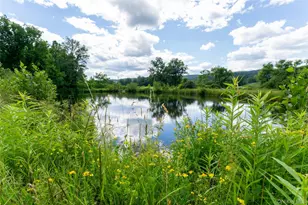 80 Hang Glider Rd, Ellenville, NY 12428 - Photo 21
