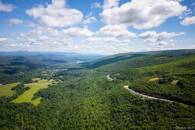 80 Hang Glider Road, Ellenville, NY 12428 - Photo 13