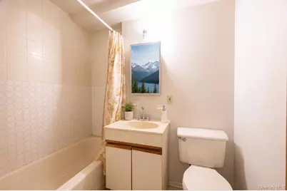 1235 E 95th Street #101, Brooklyn, NY 11236 - Photo 23