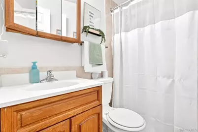 1325 Purdy Street, Bronx, NY 10462 - Photo 43
