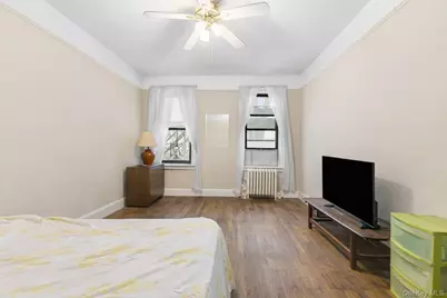 840 Saint Marks Avenue #4C, Brooklyn, NY 11213 - Photo 23