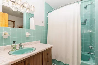 59 Sycamore Avenue, Floral Park, NY 11001 - Photo 17