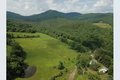 109 Mary Smith Hill Road, Livingston Manor, NY 12758 - Photo 5