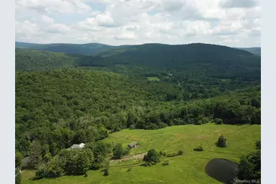 109 Mary Smith Hill Road, Livingston Manor, NY 12758 - Photo 9