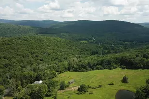 109 Mary Smith Hill Rd, Livingston Manor, NY 12758 - Photo 9