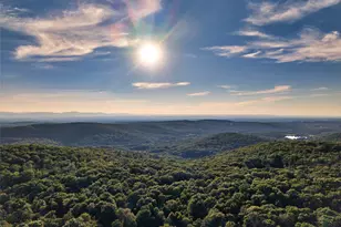 60 Blueberry Ln, Austerlitz, NY 12017 - Photo 41