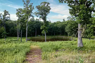 60 Blueberry Ln, Austerlitz, NY 12017 - Photo 39
