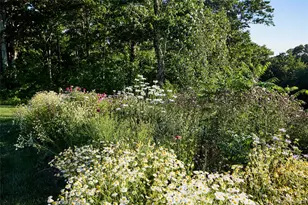 60 Blueberry Ln, Austerlitz, NY 12017 - Photo 37