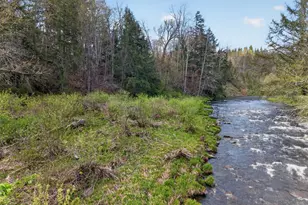 674 Debruce Rd, Livingston Manor, NY 12758 - Photo 33