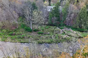 674 Debruce Rd, Livingston Manor, NY 12758 - Photo 3