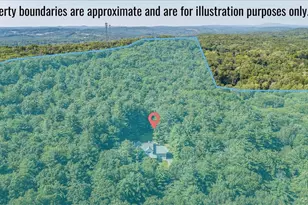 49 Barkit Kennel Rd, Pleasant Valley, NY 12569 - Photo 45