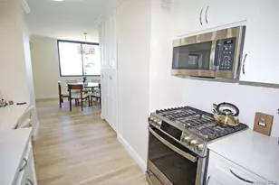 27010 Grand Central, Floral Park, NY 11005 - Photo 9