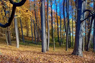16 Briar Hill Rd, Hopewell Junction, NY 12533 - Photo 29
