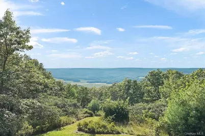 96 Treetops Trail, Bloomingburg, NY 12721 - Photo 29