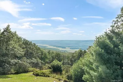 96 Treetops Trail, Bloomingburg, NY 12721 - Photo 23