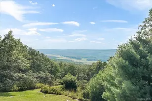 96 Treetops Trail, Bloomingburg, NY 12721 - Photo 23