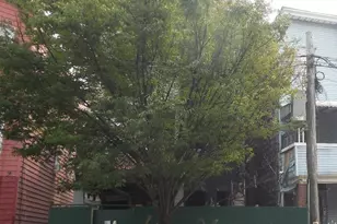 2166 Crotona Ave, Bronx, NY 10457 - Photo 3